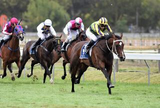 Sofia Rosa Winning the Lowland Stakes. Photo Credit Race Images